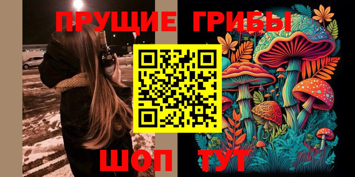 Псилоцибиновые грибы Cubensis Новомосковск