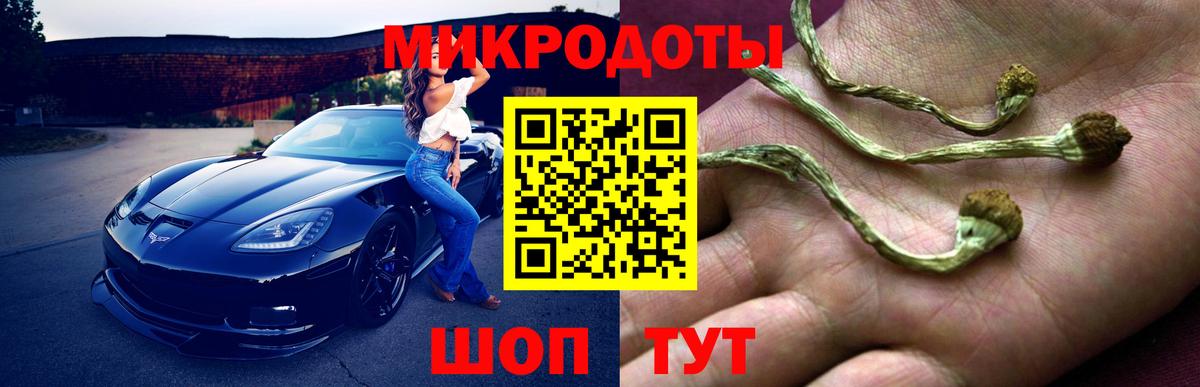 Псилоцибиновые грибы мицелий  Вход с VPN  Новомосковск 